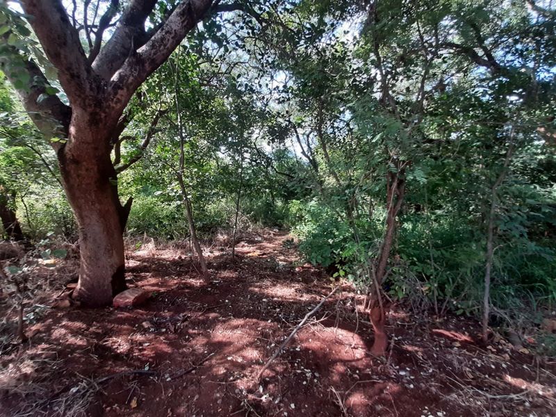 Stand for sale in Gravelotte - Photo 8