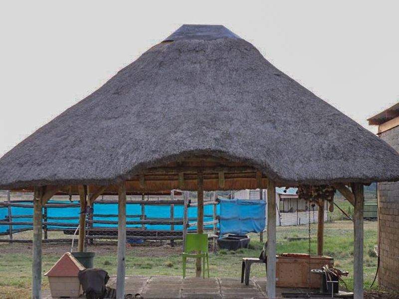 Countryside Smallholding for Sale in Koppies - Photo 8