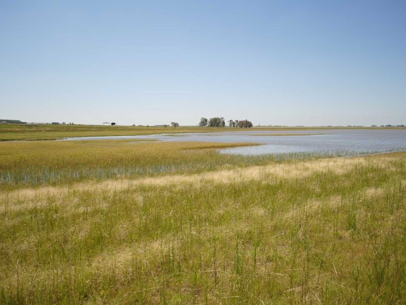 Vaal Dam water front stands from 1.5ha 20Km from Vaal Marina - Photo 10