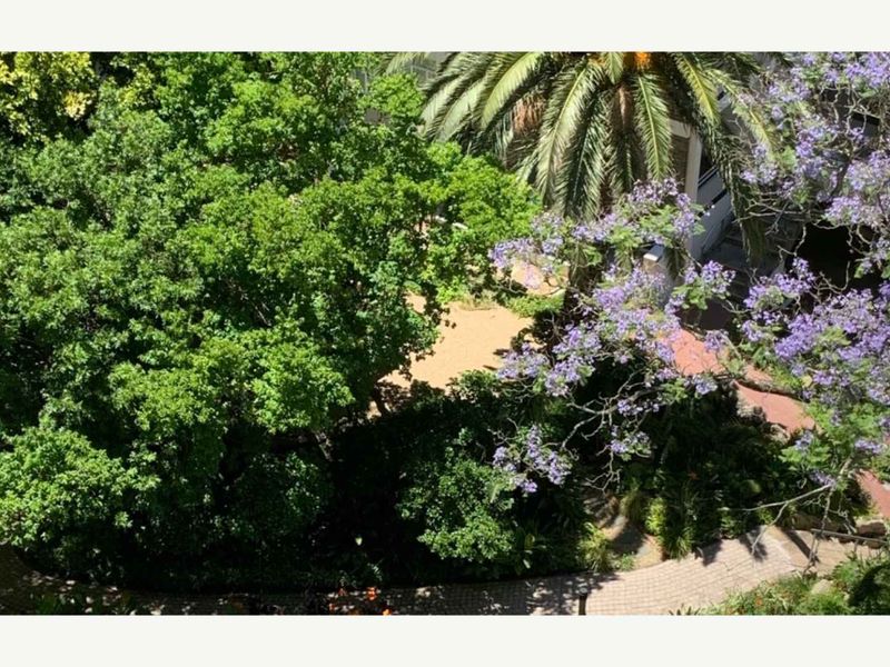 Timeless Luxury Apartment in St. Martini Gardens – Airbnb Friendly - Photo 10