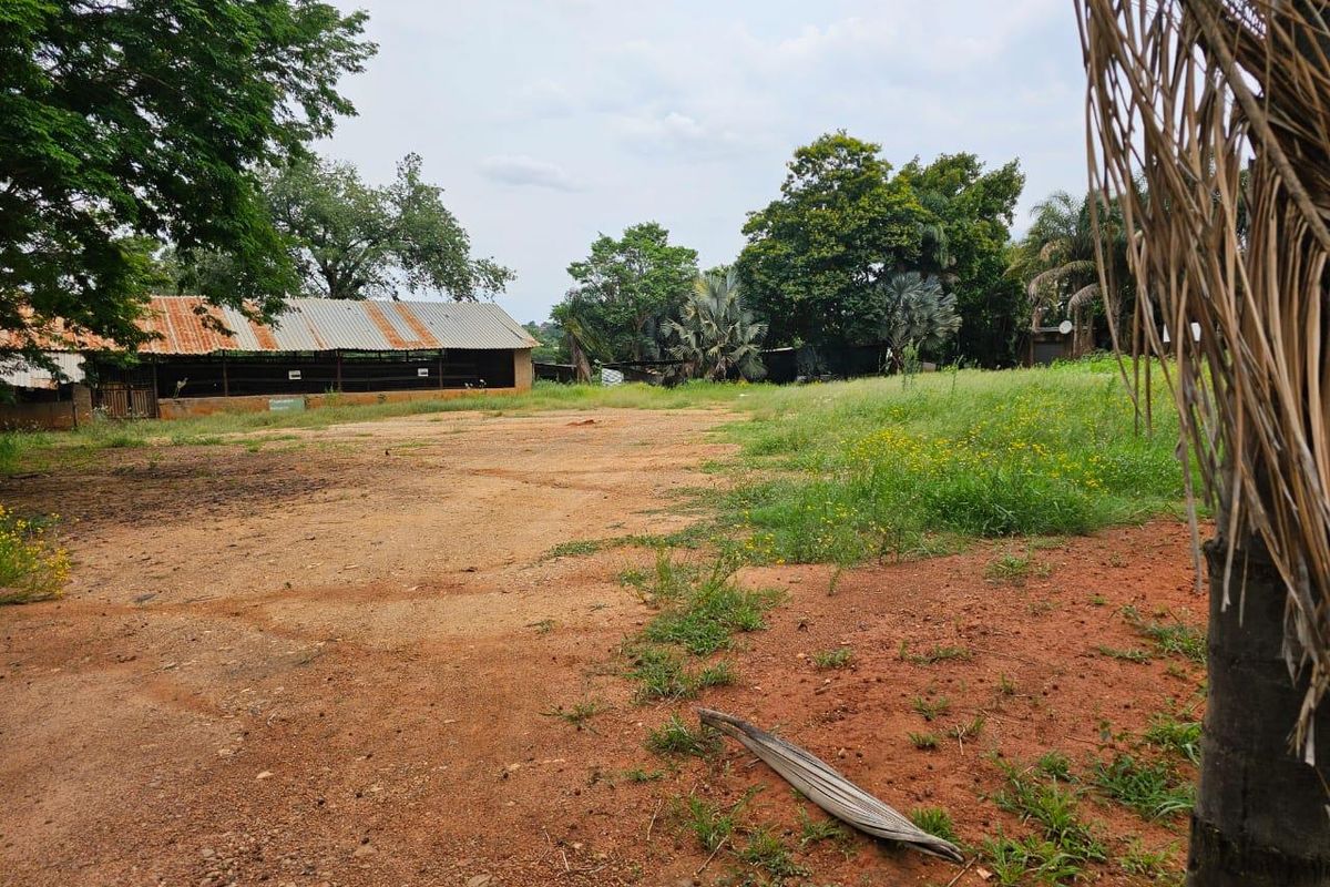 FOR SALE: PRIME 9,338 m2 COMMERCIAL STAND – R524 Punda Maria ROAD, THOHOYANDOU - Photo 4