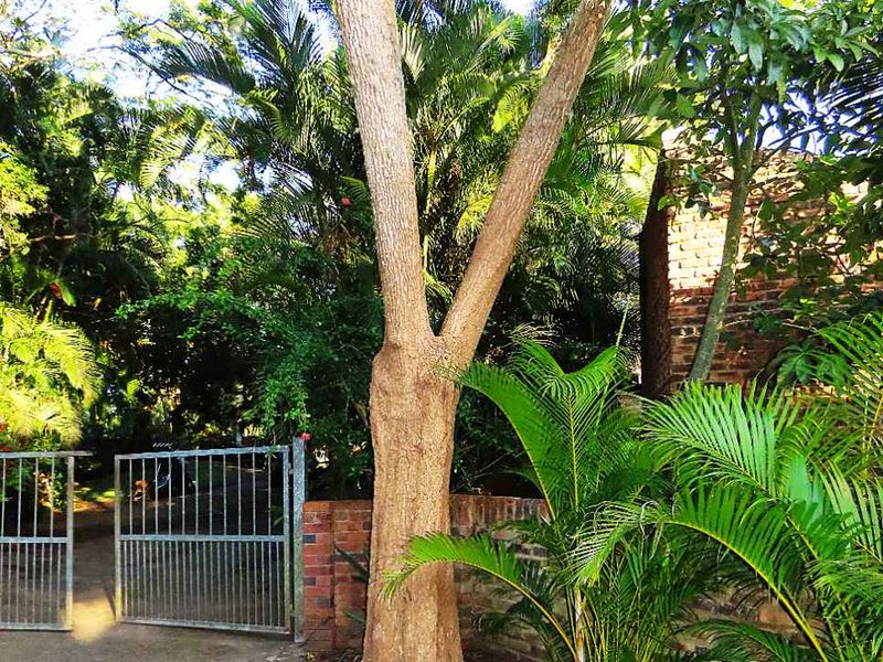 Tranquil Haven in the Heart of St Lucia - Photo 4