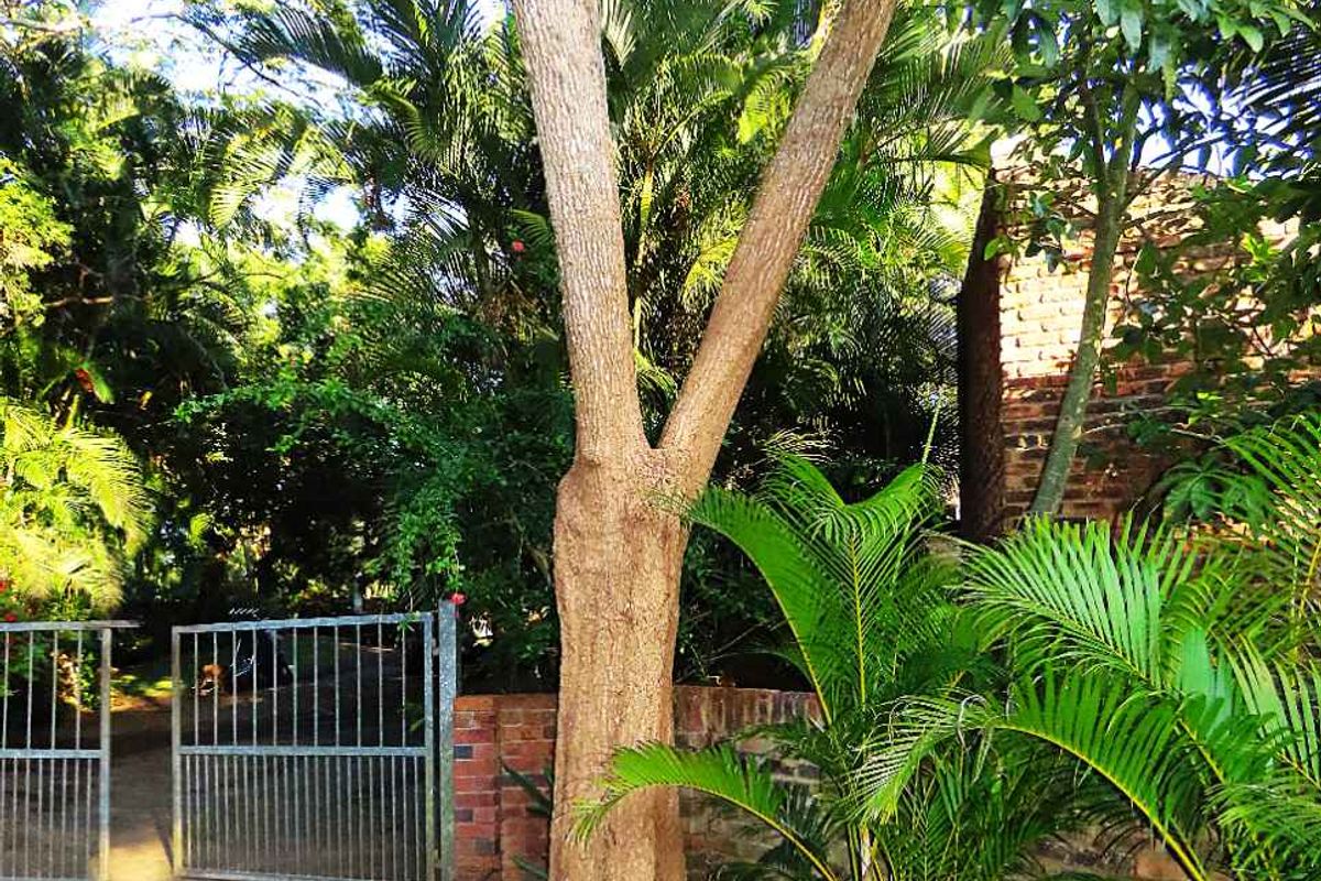 Tranquil Haven in the Heart of St Lucia - Photo 4