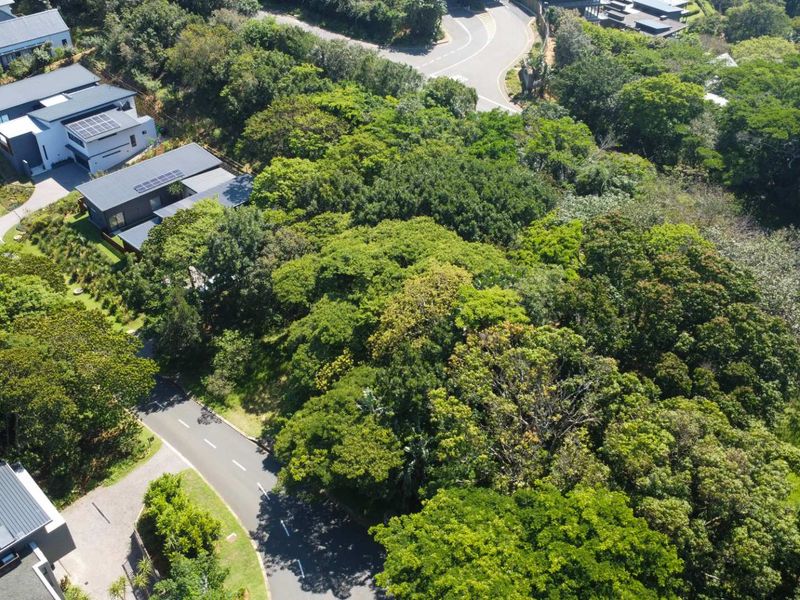 Aerial view of a vacant residential plot surrounded by mature trees and established estate infrastructure.