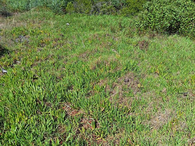 Where Mountains Meet Magnificent Sunsets - Photo 6