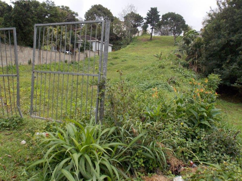 A view of a sloped, overgrown residential vacant plot featuring a metal gate and boundary wall.