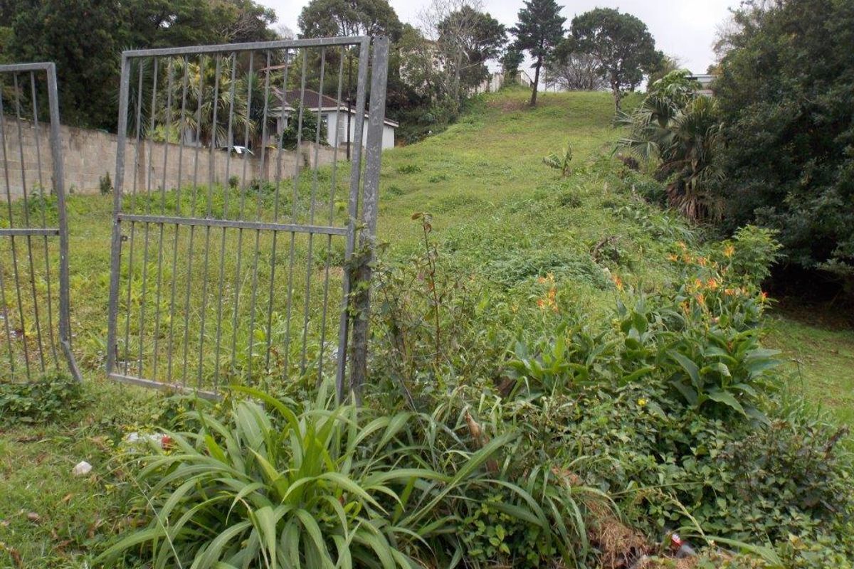 A view of a sloped, overgrown residential vacant plot featuring a metal gate and boundary wall.