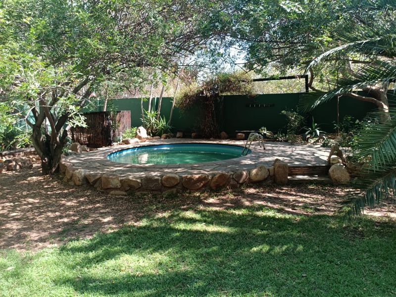 A private outdoor swimming pool area featuring a stone-edged pool, surrounded by mature trees and a boundary wall in a garden setting.
