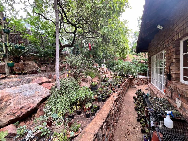 Close to nature in the city! - Photo 3