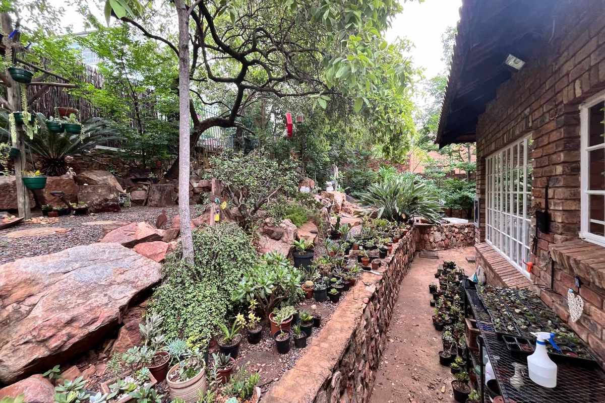 Close to nature in the city! - Photo 3