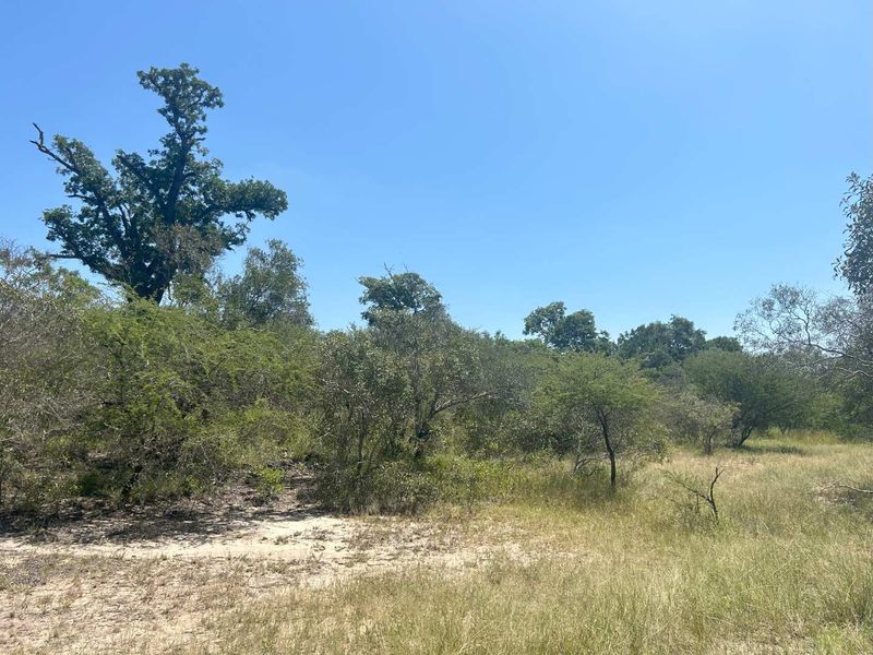 MODITLO WILDLIFE ESTATE - Vacant land for sale! - Photo 8