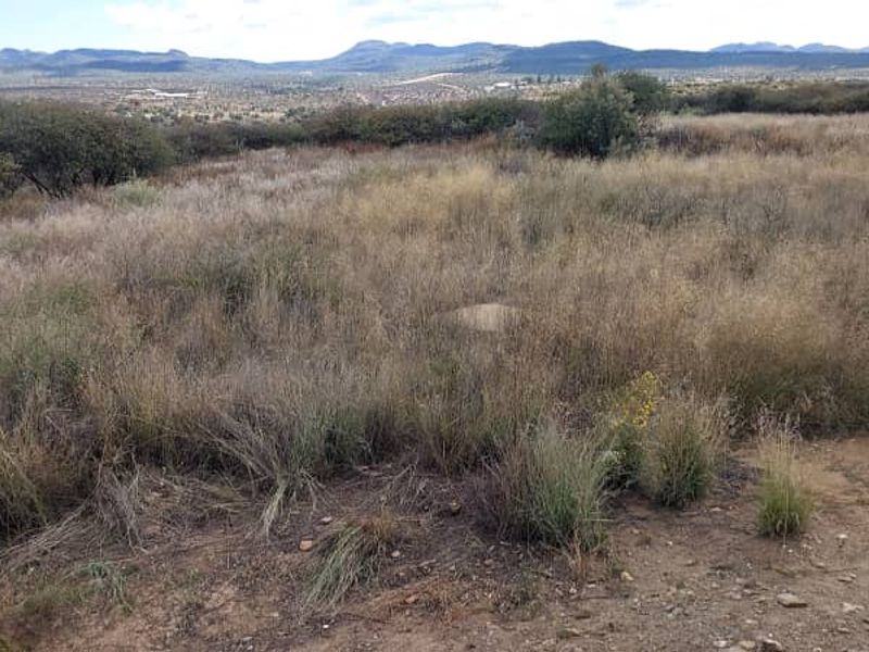 Undeveloped land for sale - Photo 2