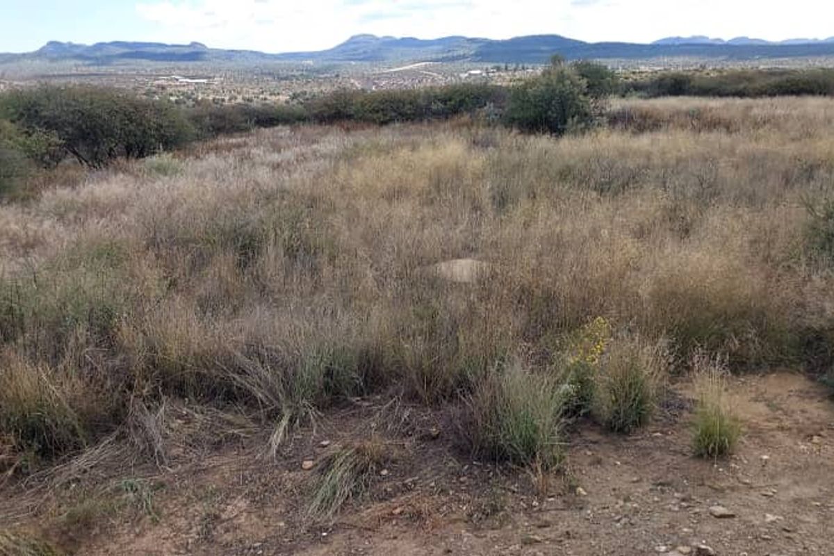 Undeveloped land for sale - Photo 2