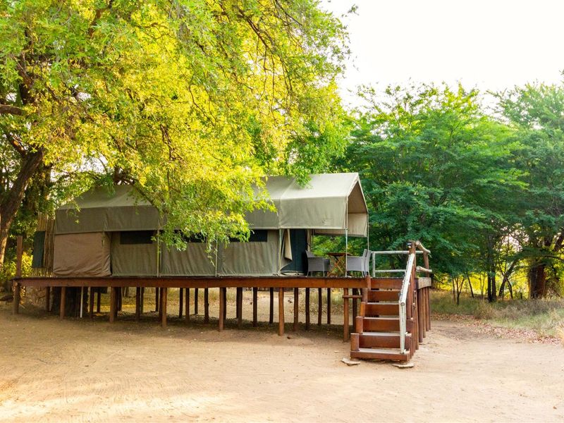 Elevated safari-style tent structure featuring a raised timber deck and staircase, set within a natural bushveld environment.