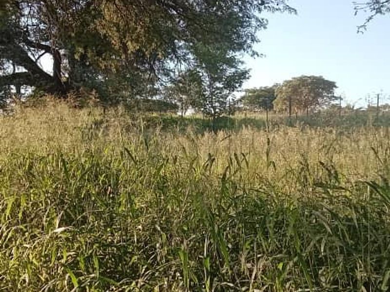 Unlock the Wild – Live the Farm Life! - Photo 3