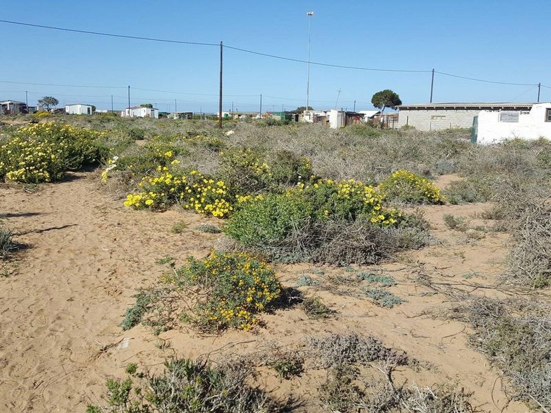 A vacant residential plot featuring sandy terrain and native vegetation, situated in a developed area with existing utility infrastructure.