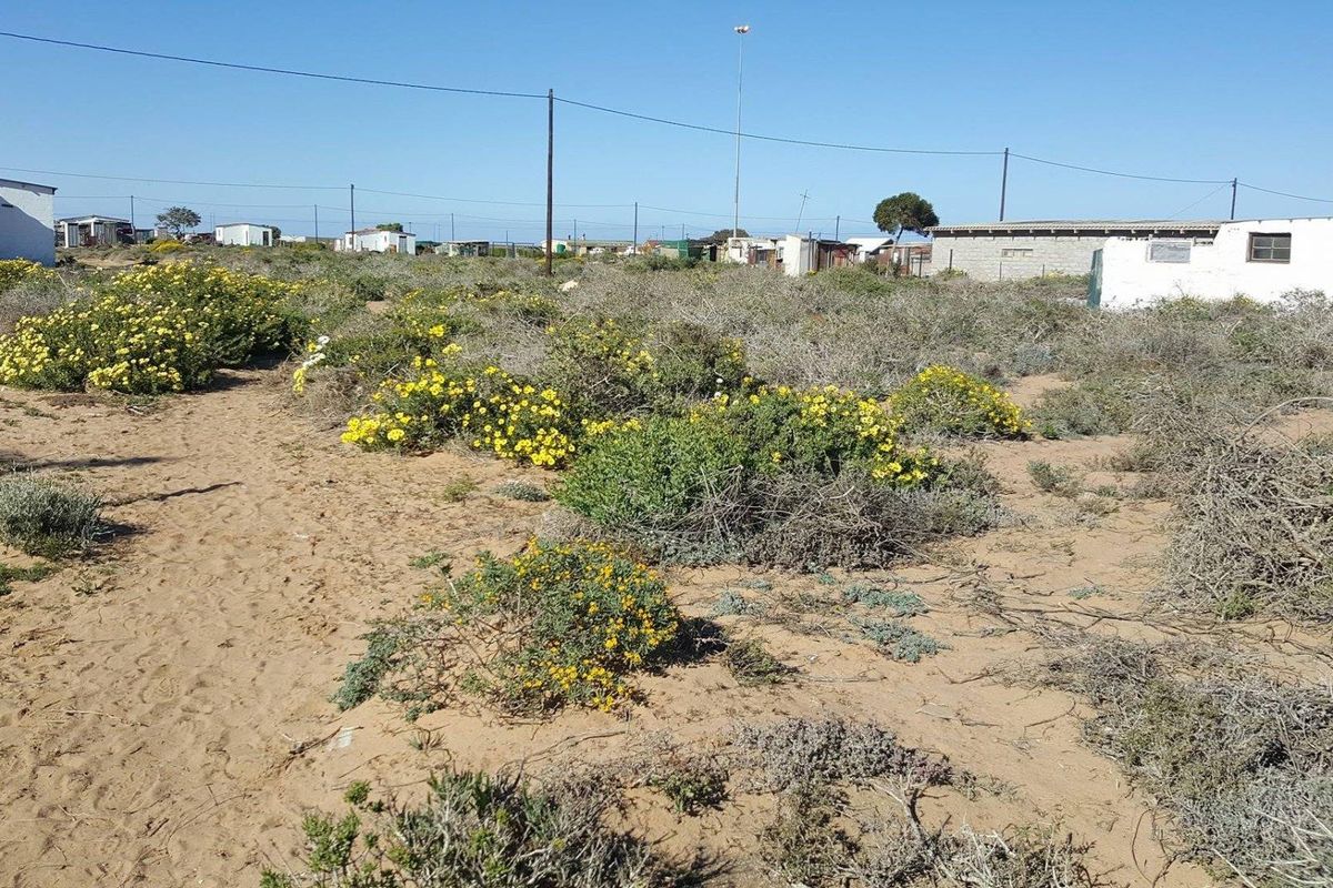 A vacant residential plot featuring sandy terrain and native vegetation, situated in a developed area with existing utility infrastructure.