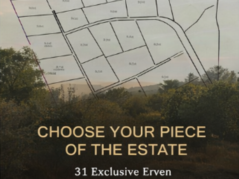 Rare Lifestyle Estate - Photo 4