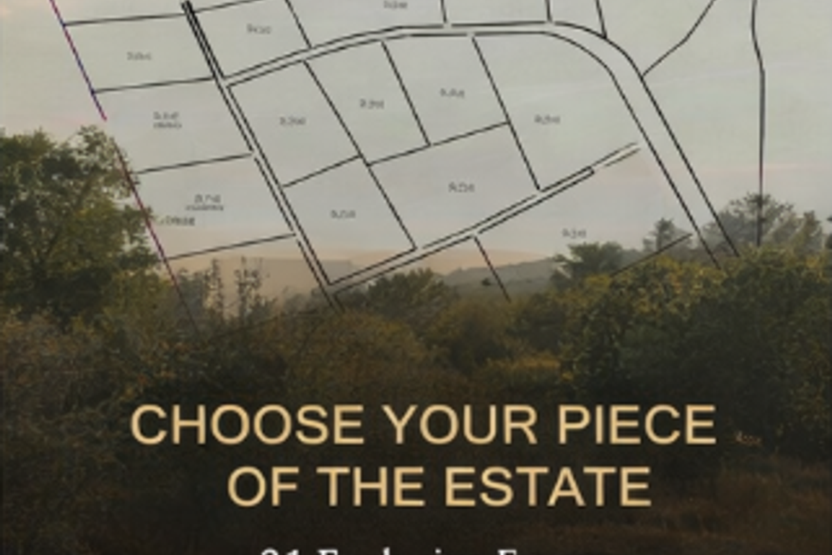 Rare Lifestyle Estate - Photo 4