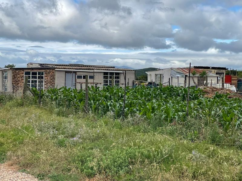 Prime Agricultural Property for Sale – Exceptional Opportunity for Mixed Farming - Photo 4