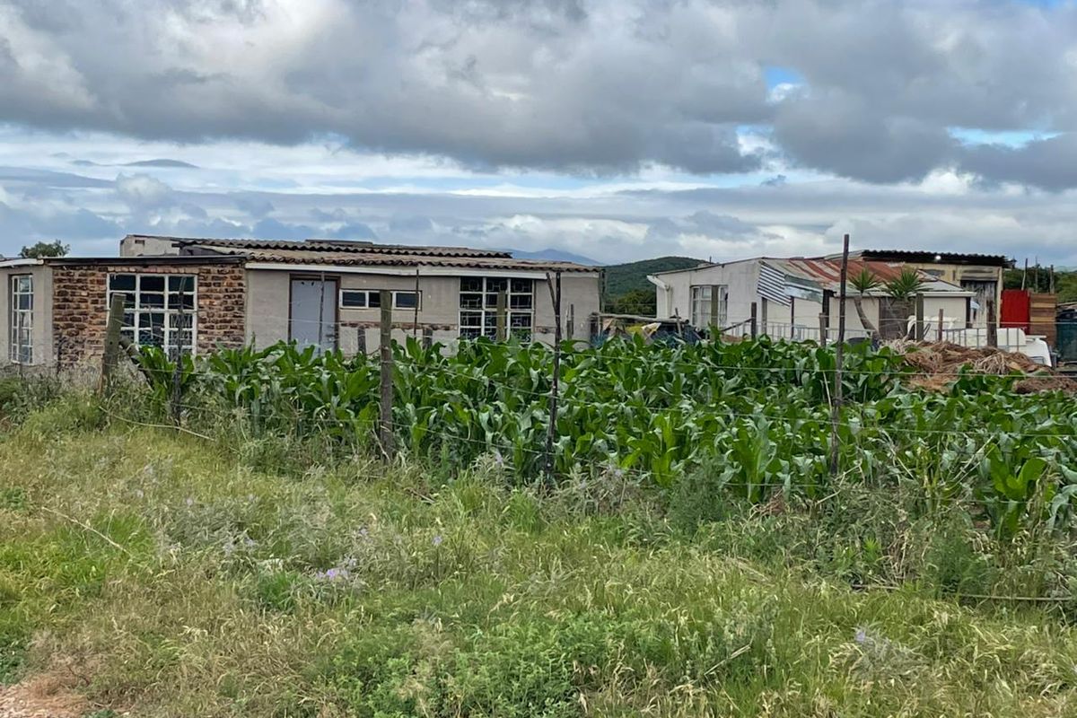 Prime Agricultural Property for Sale – Exceptional Opportunity for Mixed Farming - Photo 4