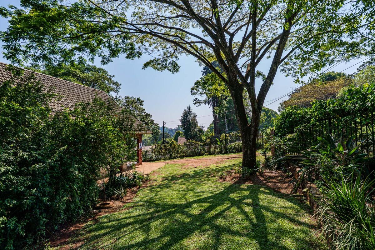 CHARACTER FILLED FAMILY HOME TUCKED AWAY IN A LUSH GARDEN - Photo 3