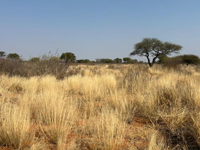 Phase 3 Omuramba Now selling! - Photo 3