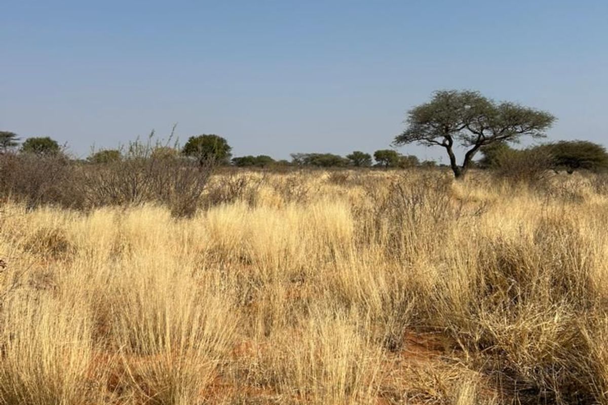 Phase 3 Omuramba Now selling! - Photo 3