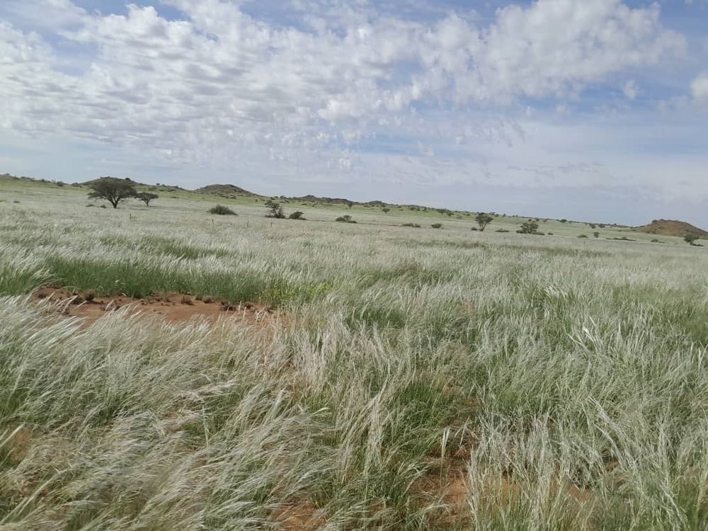 View of the field after the rain. 