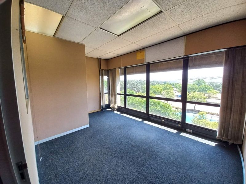 A vacant office space featuring large windows with exterior views, drop ceiling with integrated lighting, and carpeted flooring.