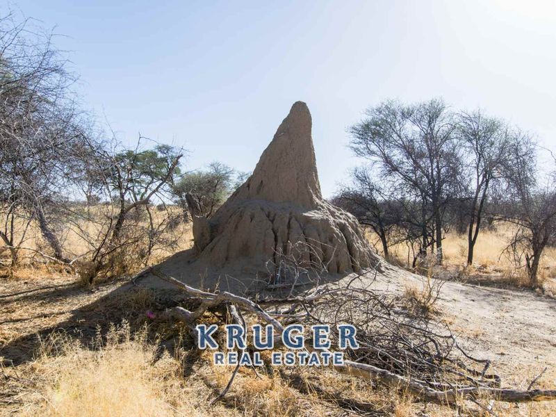 Agricultural smallholding situated approximate 20 km North-East of Omaruru on the banks of the Omaruru river - Photo 6