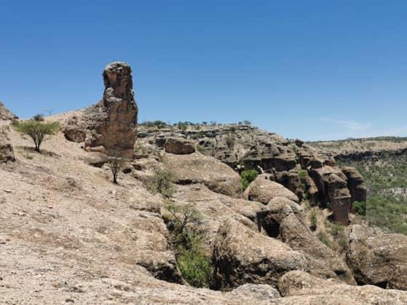 Escape to nature with this incredible 2500Ha farm — the perfect investment for a lodge. - Photo 4