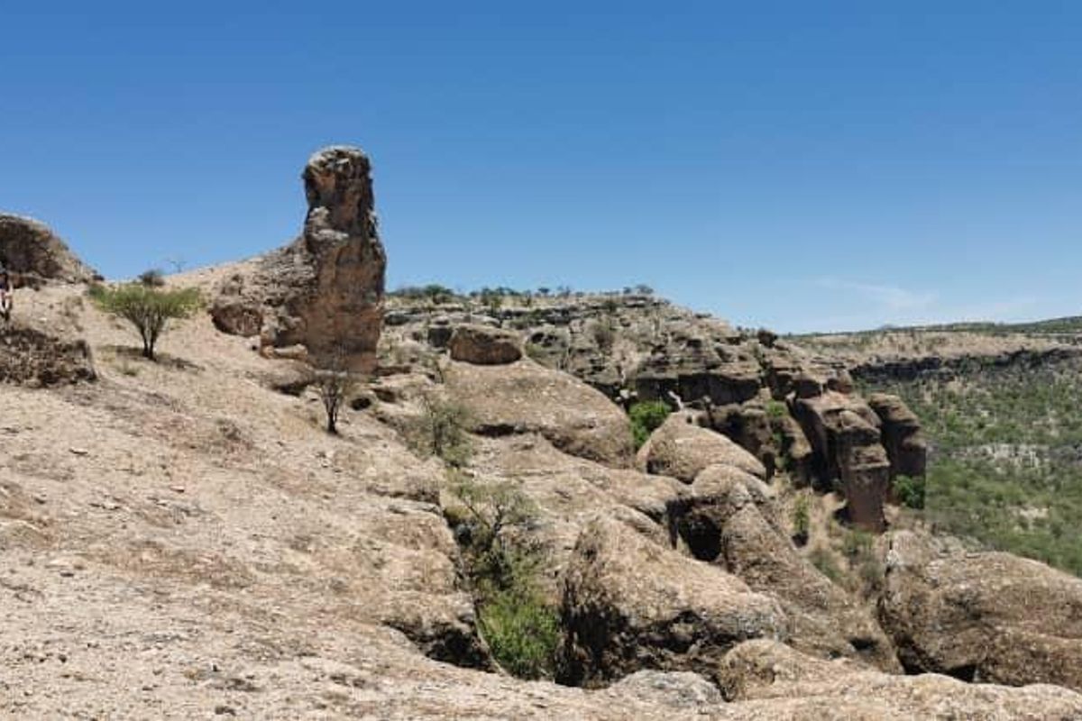 Escape to nature with this incredible 2500Ha farm — the perfect investment for a lodge. - Photo 4