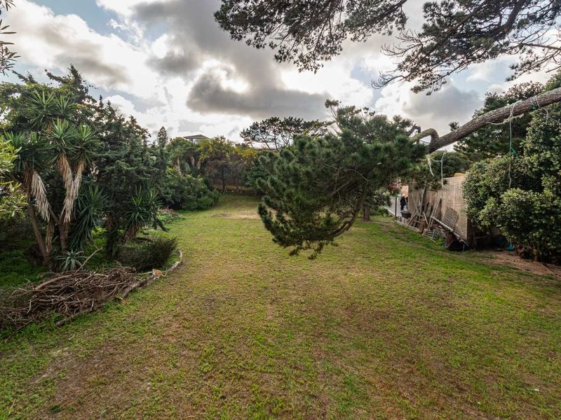 Prime Plot for Sale – Capri, South Peninsula - Photo 7