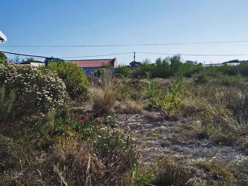 Home is where the herd is... - Photo 6