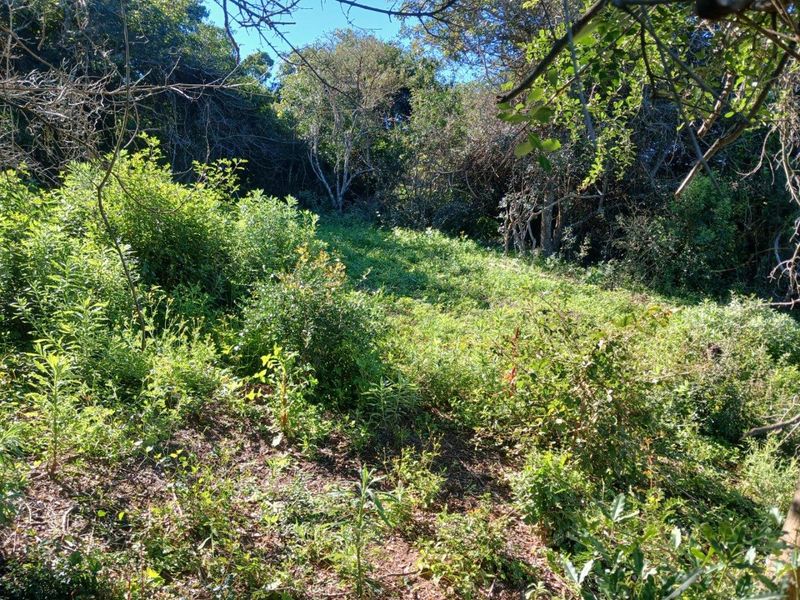 Your Quiet Corner of Bathurst, where Farmland Meets Freedom. - Photo 2