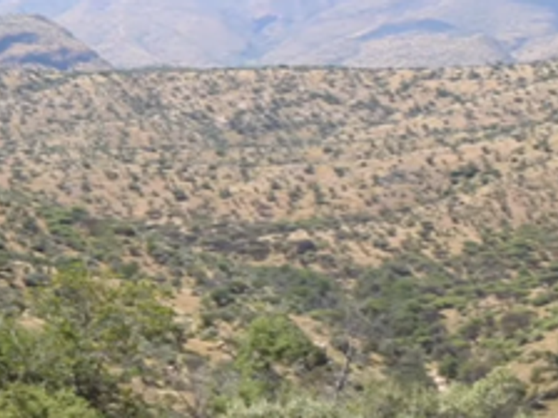 Development Opportunity - Photo 7