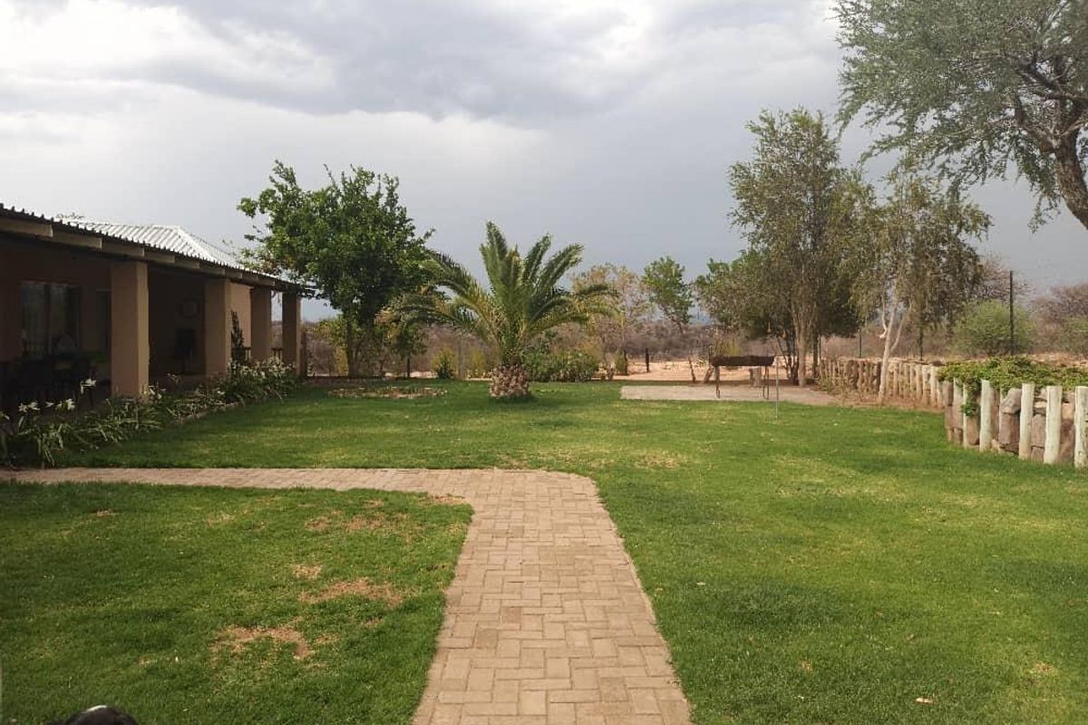 A spacious rear garden featuring a paved walkway, established lawn, mature palm tree, and a covered patio area attached to the main house.