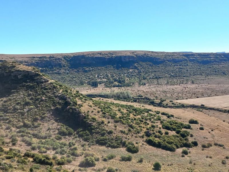 Unmatched Opportunity: Farm & Bottling Biz in One - Photo 2