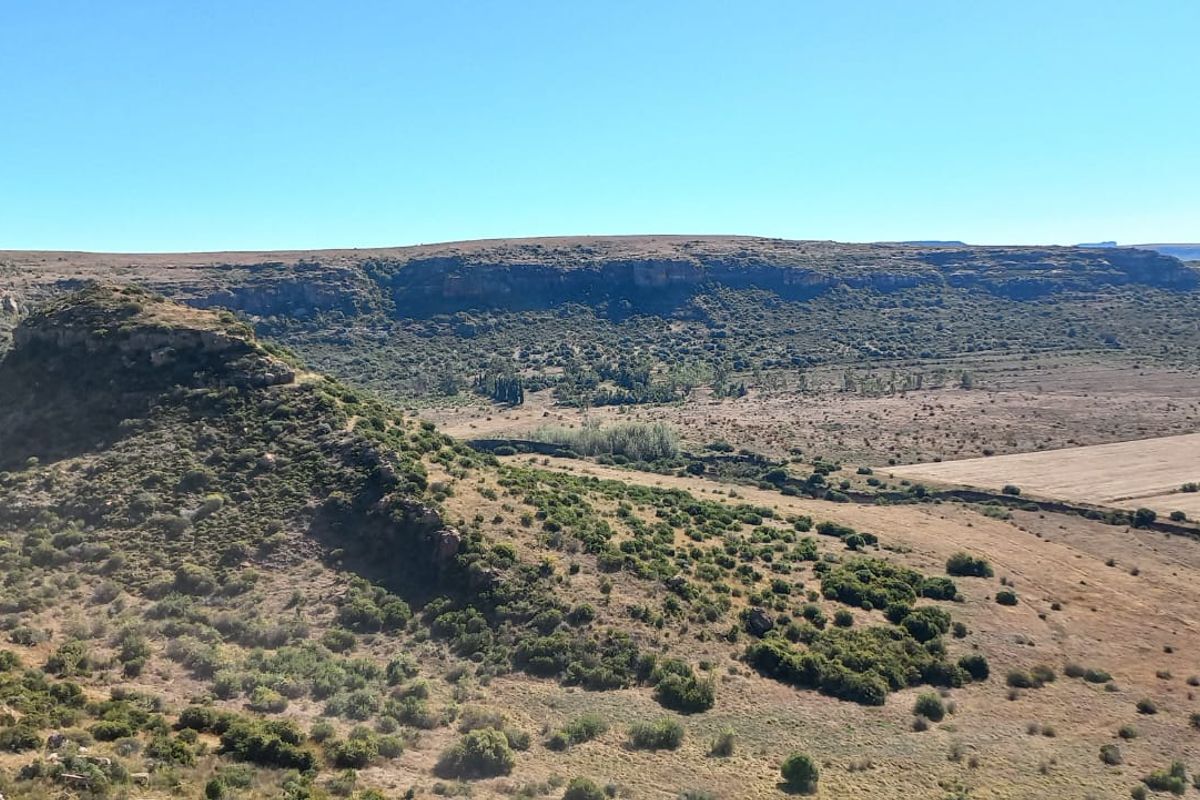 Unmatched Opportunity: Farm & Bottling Biz in One - Photo 2
