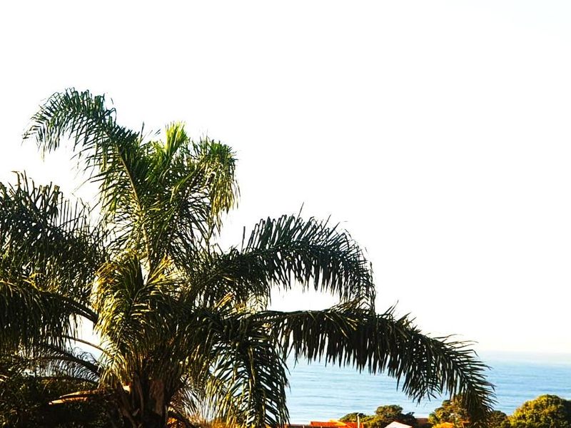 Garden Cottage La Lucia - Photo 3