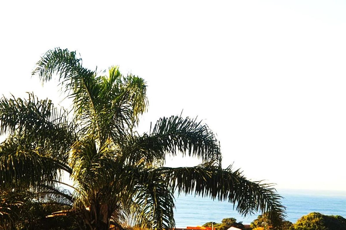 Garden Cottage La Lucia - Photo 3