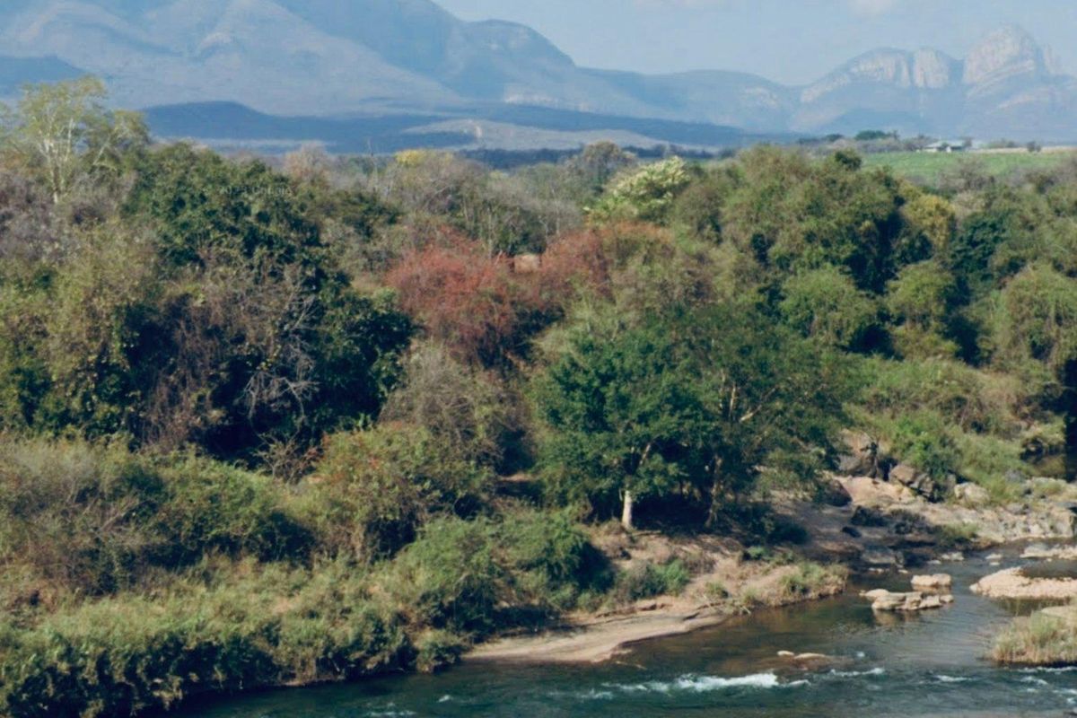 A farm in Africa - with breathtaking views: - Photo 5