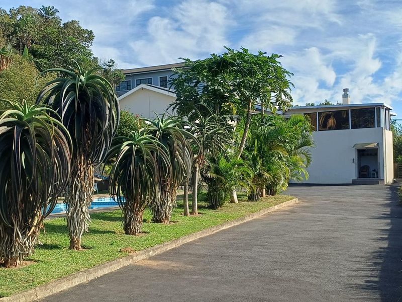 Sea Views, Space & Solar Living – The Ultimate Shelly Beach Entertainer’s Dream - Photo 7