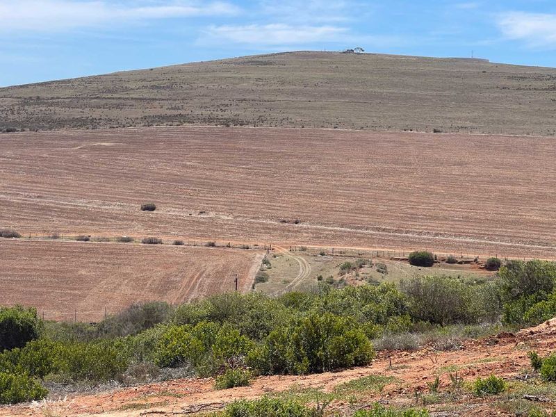 766m2 Vacant Stand For Sale in Hartland Lifestyle Estate - Exclusive Opportunity - Photo 4