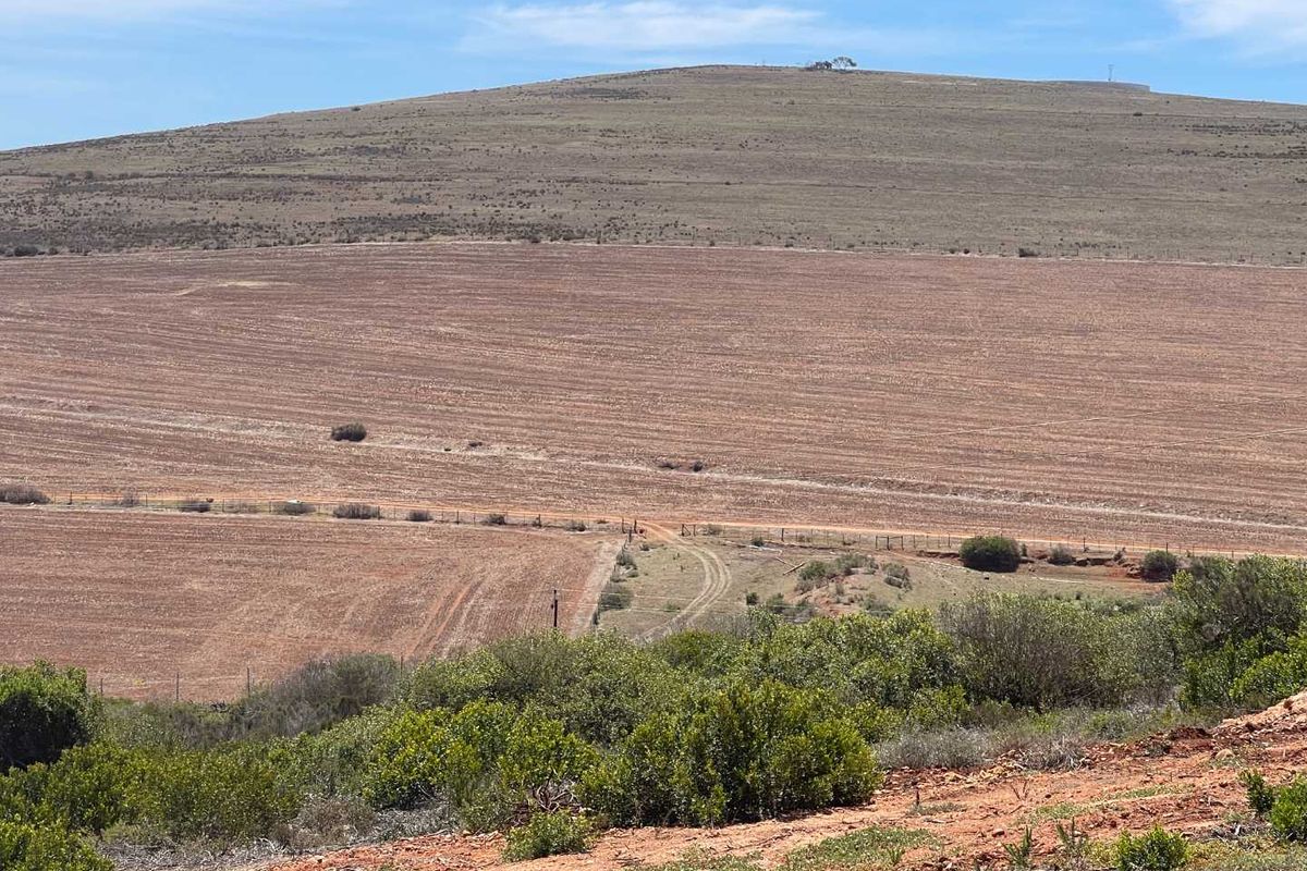 766m2 Vacant Stand For Sale in Hartland Lifestyle Estate - Exclusive Opportunity - Photo 4