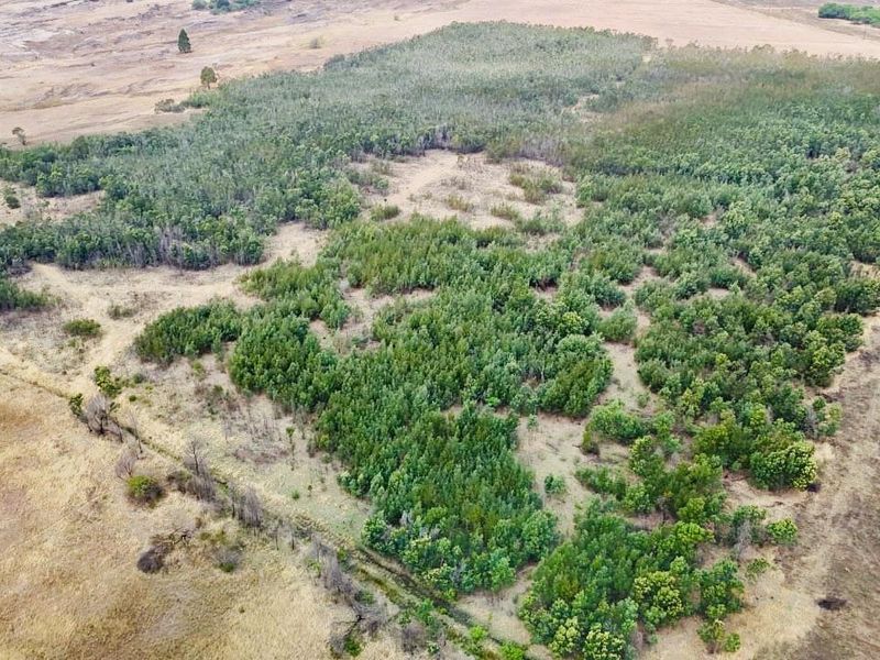 Farm for sale towards Hlobane Area - Photo 6