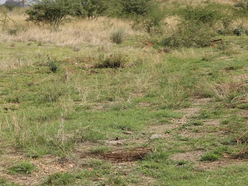 BRAKWATER - DOBRA VACANT LAND FOR SALE - Photo 4