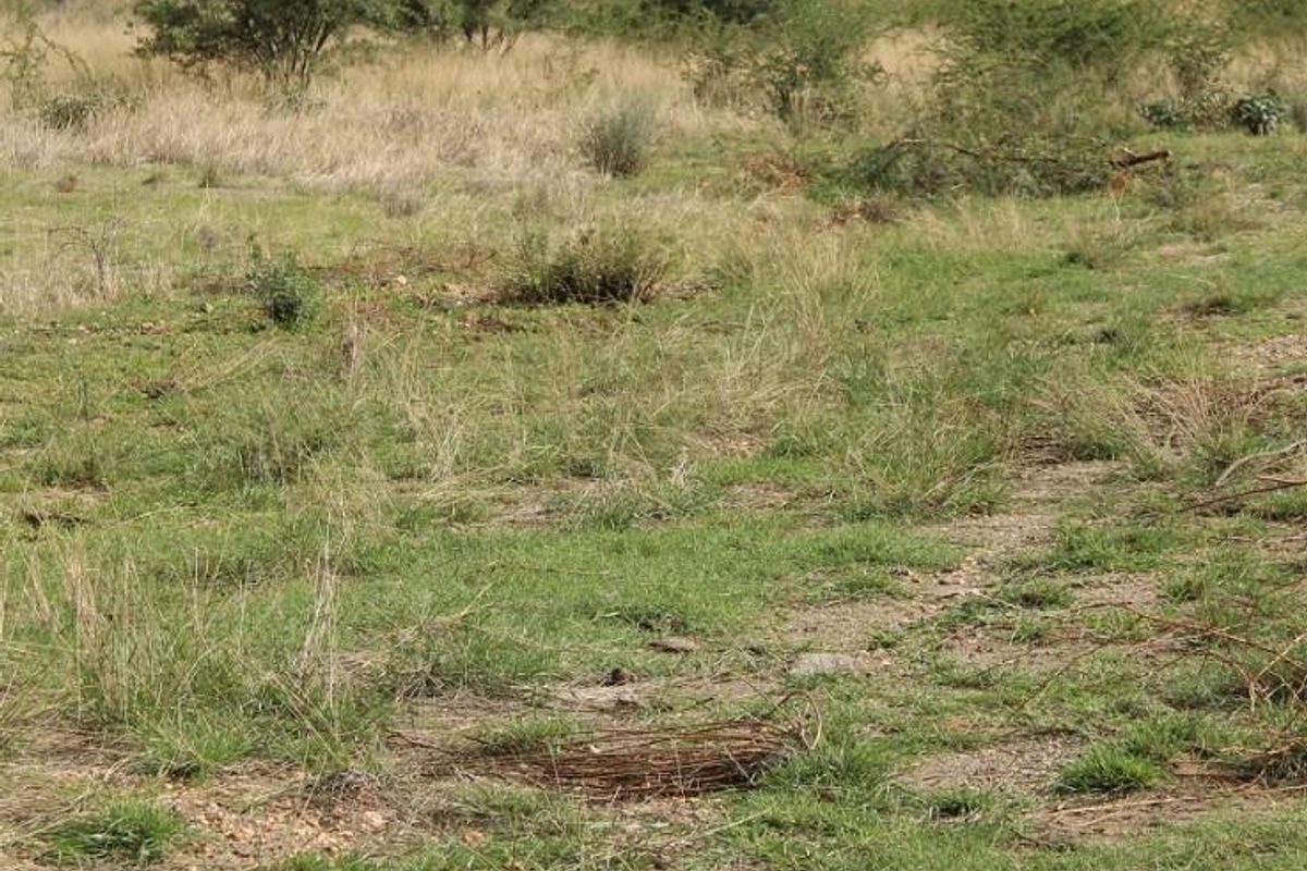 BRAKWATER - DOBRA VACANT LAND FOR SALE - Photo 4