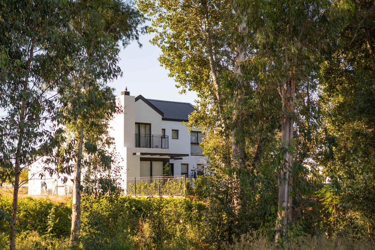 A view of the rear elevation of a modern residential property, partially obscured by mature trees.